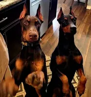 processed/c2e0ece3-9bcc-4b53-8101-31f6b4c41f99/facility/fc9db8a1-0738-401e-bf65-408b29d8345b