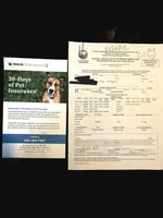 Opel w, a female Doberman Pinscher for sale in Myakka City, FL – Photo 2 of 2