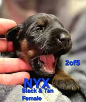 processed/c2e0ece3-9bcc-4b53-8101-31f6b4c41f99/listing/8cbb5b28-e682-427a-8d17-a114ca48d534/6fce6056-eaf2-4232-b4b5-74b68b0a6473