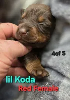 processed/c2e0ece3-9bcc-4b53-8101-31f6b4c41f99/listing/ae05f08c-b4b5-466c-9240-0fc8a67ea297/c587bbf4-a34e-4f0b-8450-e7f4b896734d