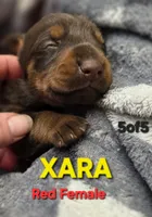 processed/c2e0ece3-9bcc-4b53-8101-31f6b4c41f99/listing/d2925f48-b619-425d-8ac5-65128c0039e8/a0cfd66f-0aa3-40f3-bd76-1420eeb696f1