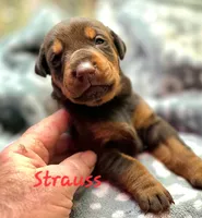 processed/c2e0ece3-9bcc-4b53-8101-31f6b4c41f99/listing/d2925f48-b619-425d-8ac5-65128c0039e8/e958eda6-1df3-4237-9e11-e340f9862b79