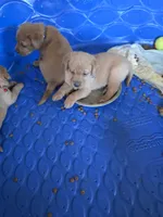 processed/c2ef5ef9-a35a-4805-9b77-053fd175b00e/facility/1f2491ea-ae86-4e43-be71-83fcc1e30c4b