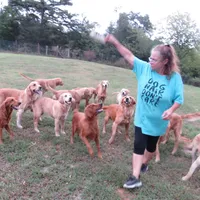 processed/c2f769c1-7e07-4f7d-aca8-65179e728b40/facility/71de1548-0e44-4759-b9c8-90de2d6c545c