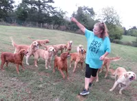 processed/c2f769c1-7e07-4f7d-aca8-65179e728b40/facility/71de1548-0e44-4759-b9c8-90de2d6c545c