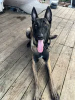 processed/c2fd9234-dbd6-4aa5-b89a-6554277ccacb/facility/0a01ac13-b6ad-4955-b974-aa5caf751bb9