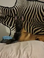 processed/c2fd9234-dbd6-4aa5-b89a-6554277ccacb/facility/4684532b-c2d1-40de-8ac5-cfd6110319d9