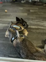 processed/c2fd9234-dbd6-4aa5-b89a-6554277ccacb/facility/5517eb72-09e6-4376-99a1-cac3081c403e