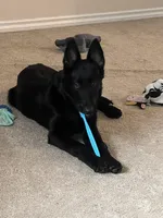 processed/c2fd9234-dbd6-4aa5-b89a-6554277ccacb/facility/a8a8b79c-d550-4fb9-b73f-1fef1a53c666