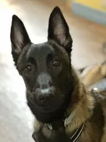 processed/c2fd9234-dbd6-4aa5-b89a-6554277ccacb/facility/d3534fa9-88e5-4e2e-8376-d60915ad0c84