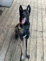 processed/c2fd9234-dbd6-4aa5-b89a-6554277ccacb/facility/e1f79359-a55c-44d8-8d52-12f6d31fcd8c