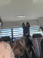 processed/c2fd9234-dbd6-4aa5-b89a-6554277ccacb/facility/ea308592-7393-4480-bf32-b499ef53a122