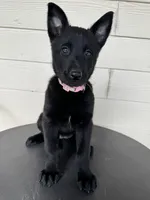 processed/c2fd9234-dbd6-4aa5-b89a-6554277ccacb/listing/7b402b22-0d5d-4804-ac6a-b8027a1f0312/3811c28b-af7c-42d7-a869-d177e8cf77e1