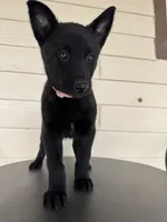 processed/c2fd9234-dbd6-4aa5-b89a-6554277ccacb/listing/7b402b22-0d5d-4804-ac6a-b8027a1f0312/68e306d8-fa54-4707-b0dd-af3acd729cbe