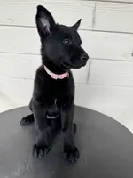 processed/c2fd9234-dbd6-4aa5-b89a-6554277ccacb/listing/7b402b22-0d5d-4804-ac6a-b8027a1f0312/871dd276-cad3-4eb7-abb3-dad69237479a