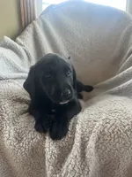 processed/c306afd2-13e4-4424-8da9-20af90aed7e7/listing/08537fa5-ed56-4027-bef2-323351b04f59/4bd889bd-1738-432b-839c-747bcdb1ccfb