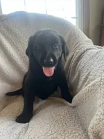 processed/c306afd2-13e4-4424-8da9-20af90aed7e7/listing/08537fa5-ed56-4027-bef2-323351b04f59/daabb085-f3b1-4bf3-a941-af068c3c6d39