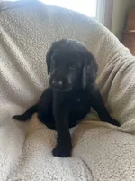 processed/c306afd2-13e4-4424-8da9-20af90aed7e7/listing/08537fa5-ed56-4027-bef2-323351b04f59/e4068355-7b72-44a2-abbf-e4d1c8b6499b