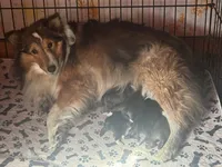 processed/c3244761-0f01-4600-bb3c-96ed39a97fb1/facility/10ca85c8-93c9-4cfe-a71a-4e745325d049