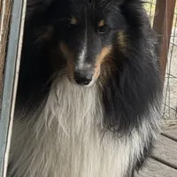 processed/c3244761-0f01-4600-bb3c-96ed39a97fb1/facility/994c2dcf-960f-48a8-8561-80f397f586b0