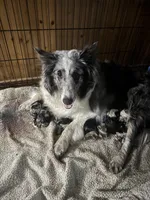 processed/c3244761-0f01-4600-bb3c-96ed39a97fb1/facility/c4c66202-9832-4277-935d-df79279eb343