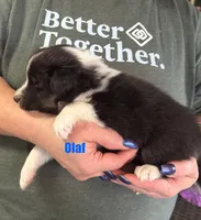 processed/c3244761-0f01-4600-bb3c-96ed39a97fb1/listing/32296a72-a0a1-4e6d-93eb-75969b1d3444/02ffa371-298a-435b-8a17-a0a03e15df85