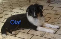 processed/c3244761-0f01-4600-bb3c-96ed39a97fb1/listing/32296a72-a0a1-4e6d-93eb-75969b1d3444/942868f8-9234-434c-9903-81c99be521d4