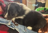 processed/c3244761-0f01-4600-bb3c-96ed39a97fb1/listing/32296a72-a0a1-4e6d-93eb-75969b1d3444/eea51f3a-3cb9-4fe8-8dd6-360d2fd1eb14