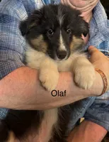 processed/c3244761-0f01-4600-bb3c-96ed39a97fb1/listing/32296a72-a0a1-4e6d-93eb-75969b1d3444/fcdfdc86-4079-4c81-a46e-51fa94e48d49