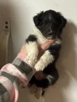 processed/c3244761-0f01-4600-bb3c-96ed39a97fb1/listing/35ebe384-f079-4202-a7bc-58545af7d9dd/31d53176-55bb-4592-b097-56f565dd063b