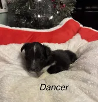 processed/c3244761-0f01-4600-bb3c-96ed39a97fb1/listing/35ebe384-f079-4202-a7bc-58545af7d9dd/6332ec2f-1d1d-457b-913f-4057995184dd