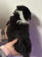 processed/c3244761-0f01-4600-bb3c-96ed39a97fb1/listing/35ebe384-f079-4202-a7bc-58545af7d9dd/68096b24-8144-4494-b9d8-fca95aca4cfa