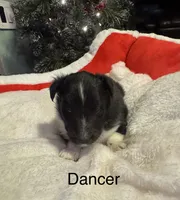 processed/c3244761-0f01-4600-bb3c-96ed39a97fb1/listing/35ebe384-f079-4202-a7bc-58545af7d9dd/e1d4e650-fc2c-406b-843c-4eb369b49ef7