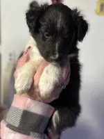 processed/c3244761-0f01-4600-bb3c-96ed39a97fb1/listing/35ebe384-f079-4202-a7bc-58545af7d9dd/ffdabdec-74fb-43a8-8cad-9e6f97cf8ff1