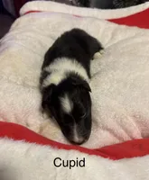 processed/c3244761-0f01-4600-bb3c-96ed39a97fb1/listing/5a9407d4-0da8-434f-b025-6f34f9a4222d/09706394-cb13-431f-b5aa-b3f40a5cd2a7