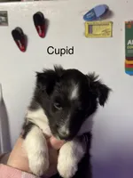 processed/c3244761-0f01-4600-bb3c-96ed39a97fb1/listing/5a9407d4-0da8-434f-b025-6f34f9a4222d/4ff942bd-0f64-426b-8e37-738d47c70f9e