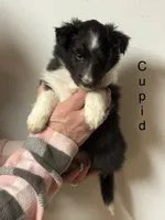 processed/c3244761-0f01-4600-bb3c-96ed39a97fb1/listing/5a9407d4-0da8-434f-b025-6f34f9a4222d/73563b7a-0f05-4067-b7f9-f8a0dd82d5d4