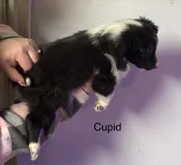 processed/c3244761-0f01-4600-bb3c-96ed39a97fb1/listing/5a9407d4-0da8-434f-b025-6f34f9a4222d/c993d8e4-eed2-4945-8d79-e5325bbf2349