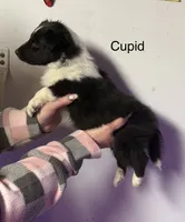 processed/c3244761-0f01-4600-bb3c-96ed39a97fb1/listing/5a9407d4-0da8-434f-b025-6f34f9a4222d/d55c1d58-308e-4a38-9a68-b4ccb2d4b788