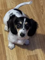 processed/c3262fb3-1be9-4598-9c5a-200e92df5f20/facility/10ff081c-d967-4ca5-a00f-60ef2bc1aff5