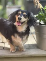 processed/c3262fb3-1be9-4598-9c5a-200e92df5f20/facility/ca3f67ab-16e3-4dfa-b896-cc113f40fb2d