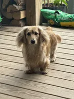 processed/c3262fb3-1be9-4598-9c5a-200e92df5f20/facility/e1083a13-e237-4892-a5fc-d05cd3f41ab7