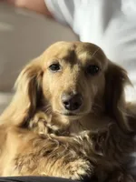 processed/c3262fb3-1be9-4598-9c5a-200e92df5f20/facility/f19295ee-cd5e-43e3-91dd-61639848bdcb