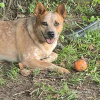 processed/c3283c81-8f45-4ad1-b713-882808ea66b4/facility/2bab4e92-ee06-4aa5-b7e9-8e9a3e7e7711