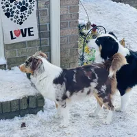 processed/c329914a-06f6-4f98-a0dc-2f897d9d76c4/facility/90b66d74-24c7-41ba-8370-5f41175472b3