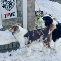 processed/c329914a-06f6-4f98-a0dc-2f897d9d76c4/facility/90b66d74-24c7-41ba-8370-5f41175472b3