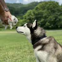 processed/c329914a-06f6-4f98-a0dc-2f897d9d76c4/facility/96c16cc5-84a1-4f19-9203-3f5a3b3d5f66