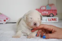 processed/c329914a-06f6-4f98-a0dc-2f897d9d76c4/listing/143e81c9-c615-4e82-b97f-de5b44921d9d/4b5031a8-df58-4510-bf41-48ef5ad0466c