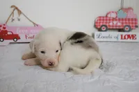 processed/c329914a-06f6-4f98-a0dc-2f897d9d76c4/listing/143e81c9-c615-4e82-b97f-de5b44921d9d/981fd149-97dd-4ed8-b94d-f1f3a9e20570