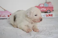 processed/c329914a-06f6-4f98-a0dc-2f897d9d76c4/listing/143e81c9-c615-4e82-b97f-de5b44921d9d/ecdb26b9-7849-4aba-947a-8746f058f391